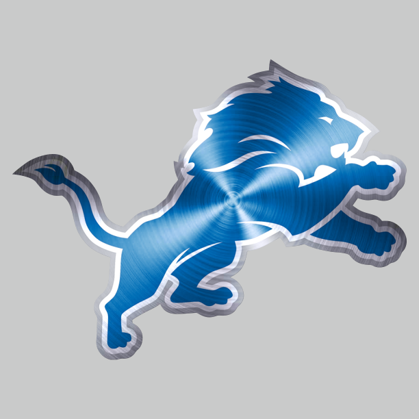 Detroit Lions Stainless steel logo iron on paper